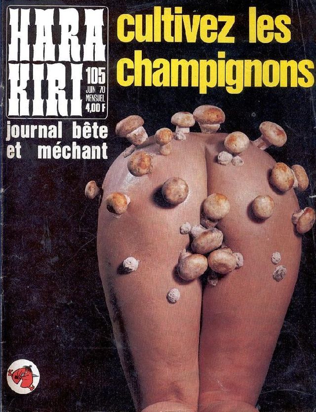 Provocative vintage magazines - 24