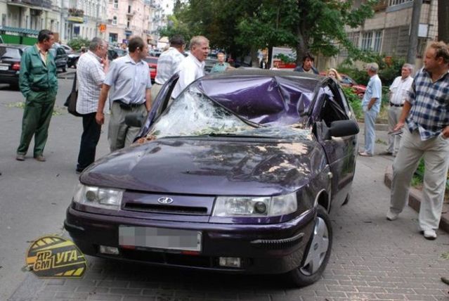 Four the most silly road accidents last year - 04