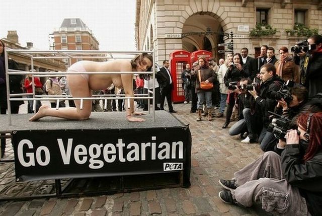 PETA's demonstration in London - 09