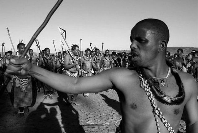The King is seeking for a wife. 70,000 virgin maidens to dance for Swaziland’s King Mswati III - 25