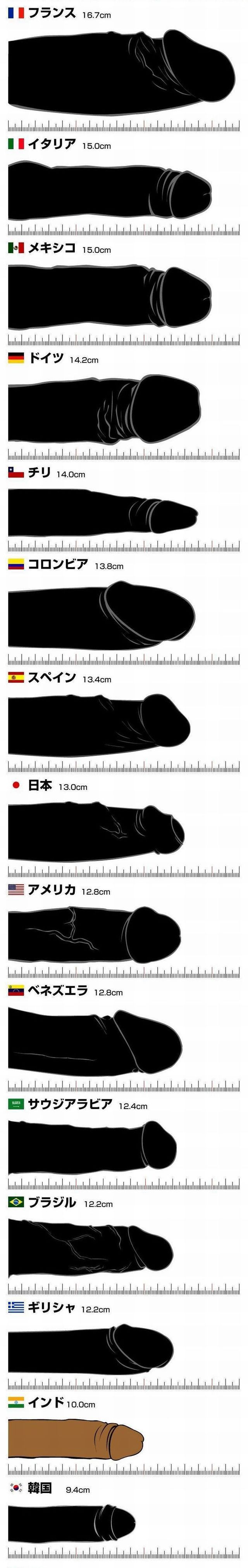 Interesting rating. Length of male penises from around the world - 01