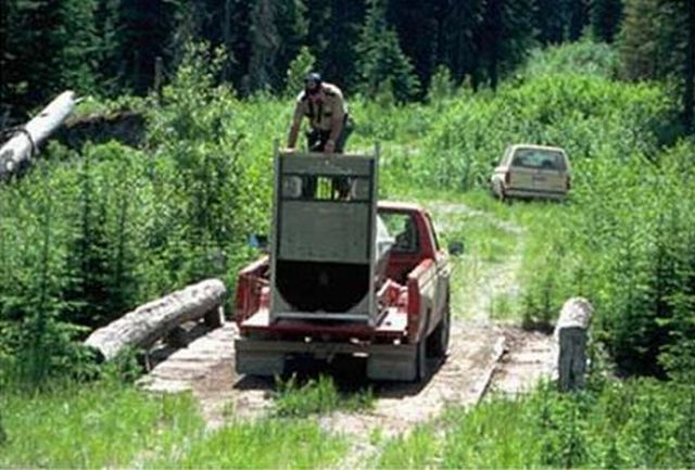 They released a bear and he decided to attack them - 00