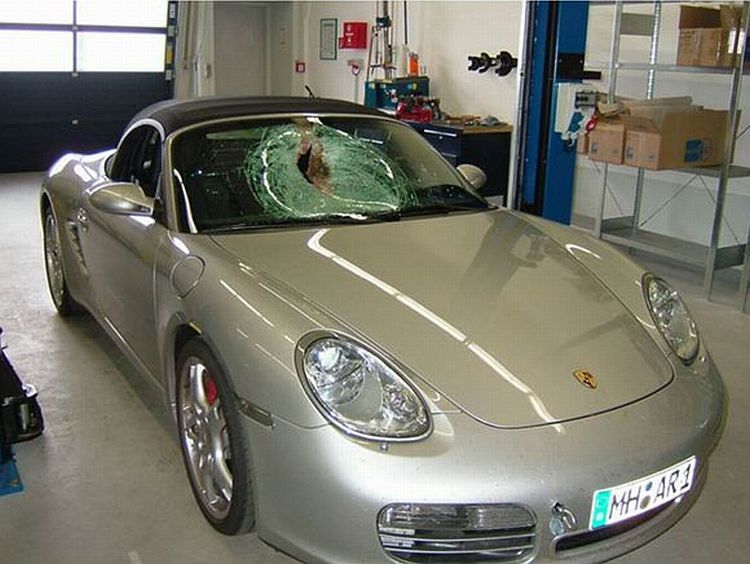 The collision between Porsche and chicken at the speed of 250 km/h. Huge - 01