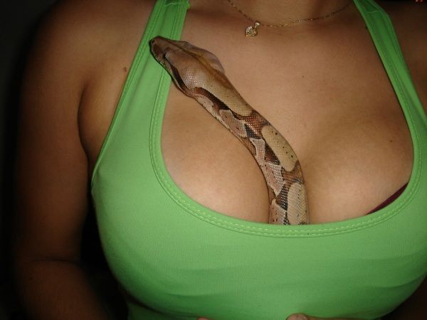 Adrenaline. Sexy babe against dangerous snakes - 00