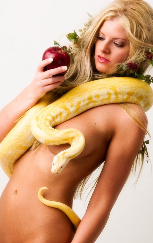 Adrenaline. Sexy babe against dangerous snakes - 16