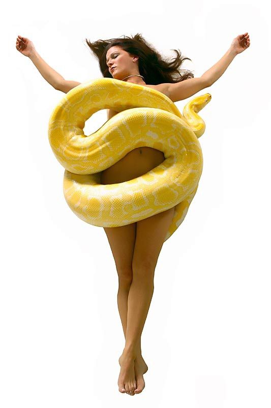 Adrenaline. Sexy babe against dangerous snakes - 19