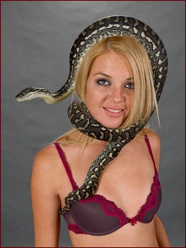 Adrenaline. Sexy babe against dangerous snakes - 41