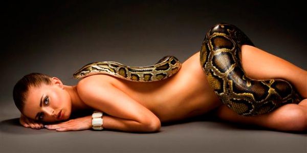 Adrenaline. Sexy babe against dangerous snakes - 56
