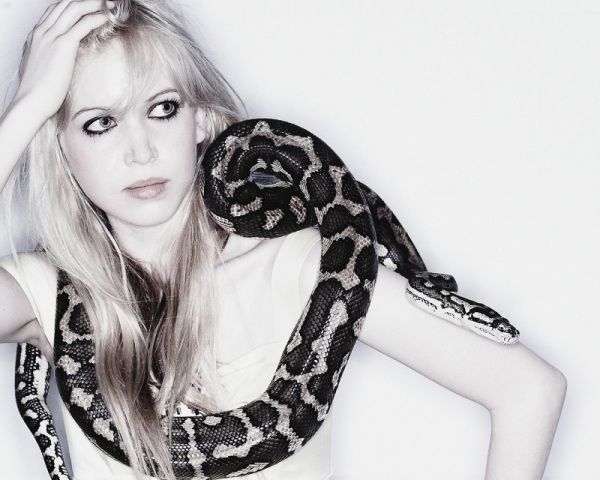 Adrenaline. Sexy babe against dangerous snakes - 58