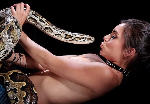 Adrenaline. Sexy babe against dangerous snakes - 60