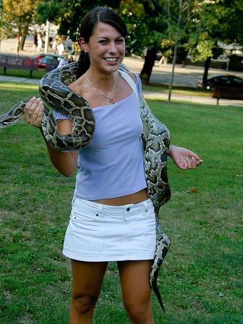 Adrenaline. Sexy babe against dangerous snakes - 71