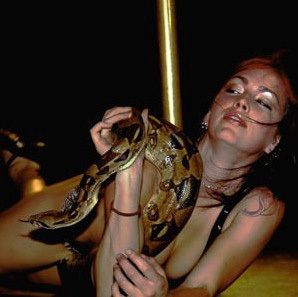 Adrenaline. Sexy babe against dangerous snakes - 75