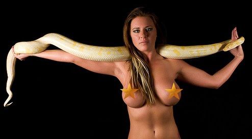 Adrenaline. Sexy babe against dangerous snakes - 77