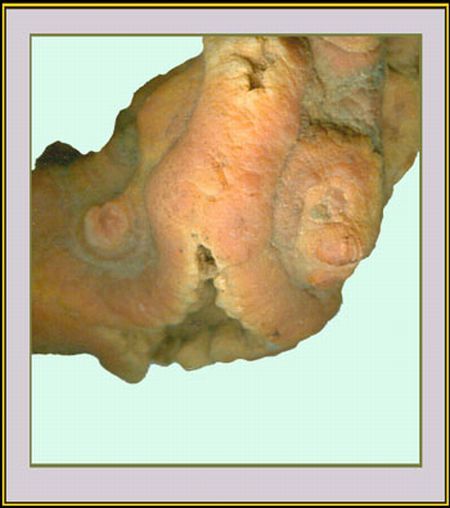 Erotic mineralogy - 04