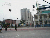 Selection of animated gifs called Fuck it. Carful, some gifs are unpleasant to see! - 08