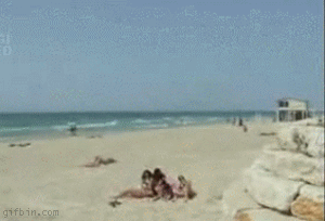 Selection of animated gifs called Stupidity can’t be eradicated - 07