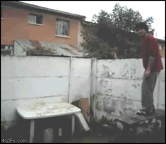 Selection of animated gifs called Stupidity can’t be eradicated - 08
