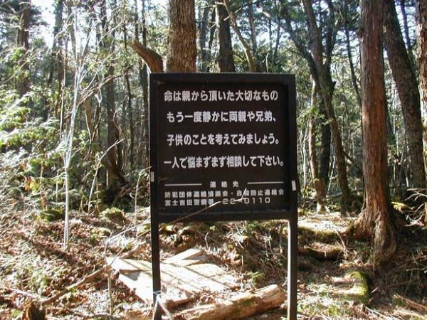 Unsolved mysteries of one of the horrible places on Earth - Aokigahara Forest - 02