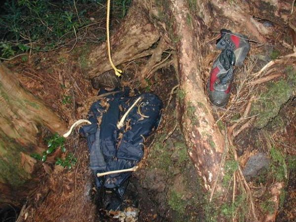 Unsolved mysteries of one of the horrible places on Earth - Aokigahara Forest - 08