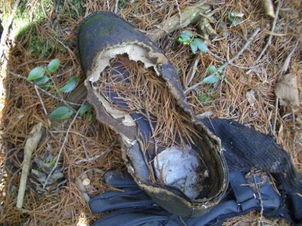 Unsolved mysteries of one of the horrible places on Earth - Aokigahara Forest - 11