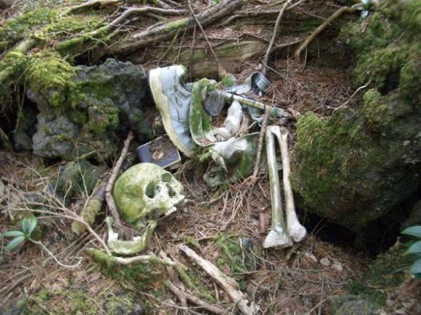 Unsolved mysteries of one of the horrible places on Earth - Aokigahara Forest - 12