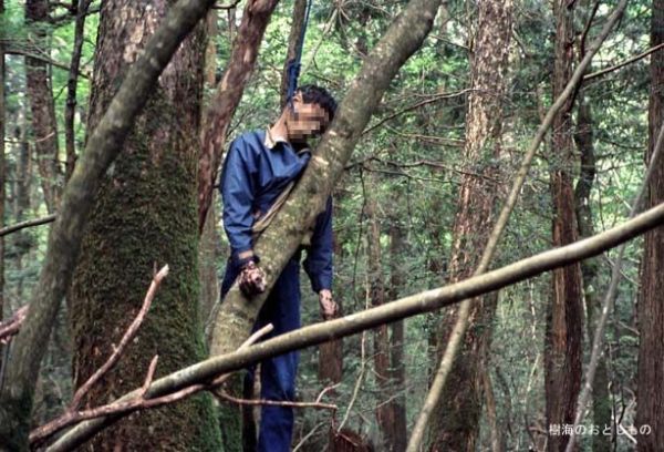 Unsolved mysteries of one of the horrible places on Earth - Aokigahara Forest - 13