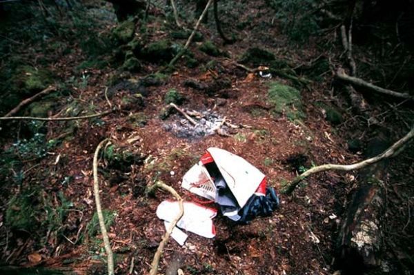 Unsolved mysteries of one of the horrible places on Earth - Aokigahara Forest - 14