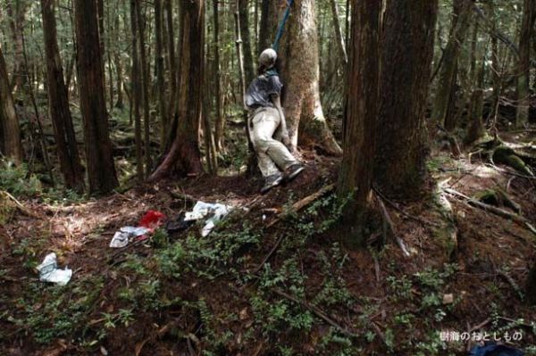 Unsolved mysteries of one of the horrible places on Earth - Aokigahara Forest - 15