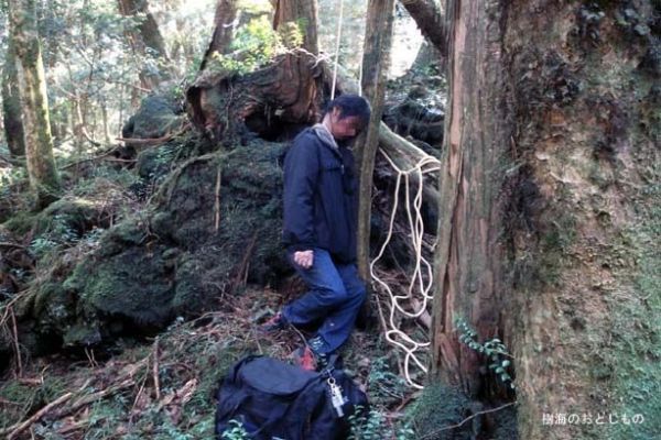 Unsolved mysteries of one of the horrible places on Earth - Aokigahara Forest - 16