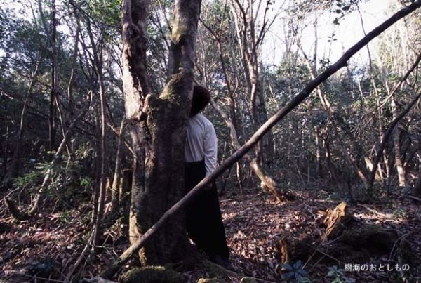 Unsolved mysteries of one of the horrible places on Earth - Aokigahara Forest - 17