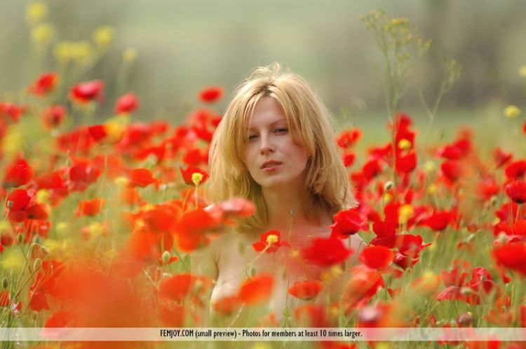 Two babes posing in the poppy field - 03
