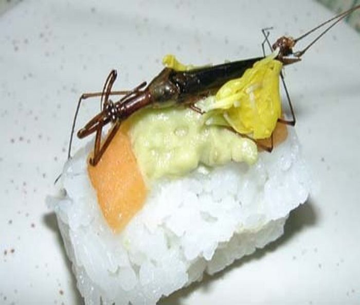 Would you like to try this sushi? ;) - 04