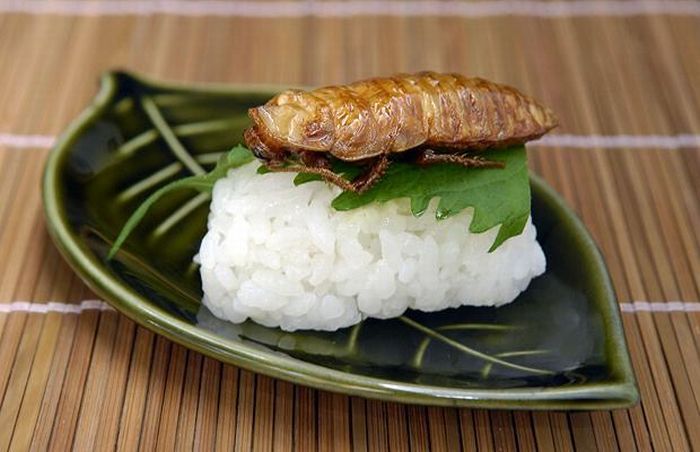Would you like to try this sushi? ;) - 10