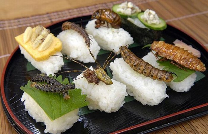 Would you like to try this sushi? ;) - 11