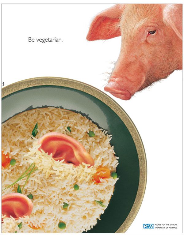 Posters against ‘carnivores’ - 09