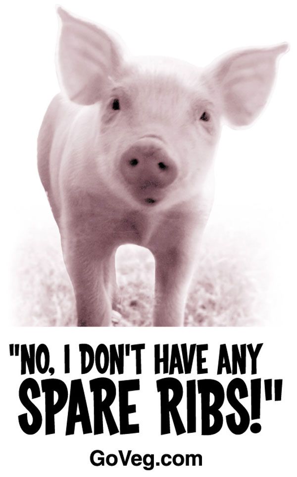 Posters against ‘carnivores’ - 11