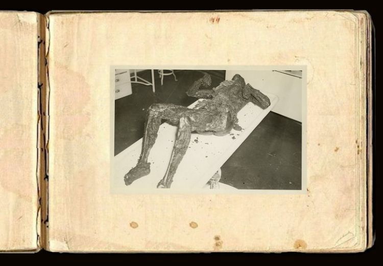OMG. Vintage Death Scenes. Content is very graphic! - 25