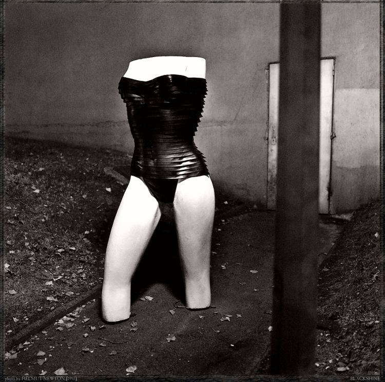 Erotic photography of Helmut Newton - 03