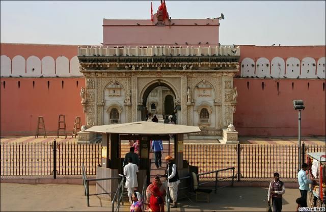 Karni Mata and rat temple - 00