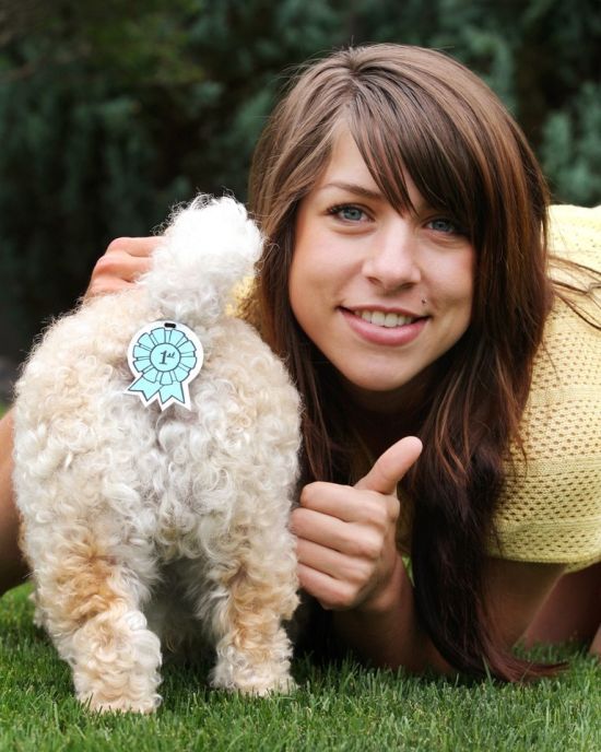 Pet protection sticker - 03