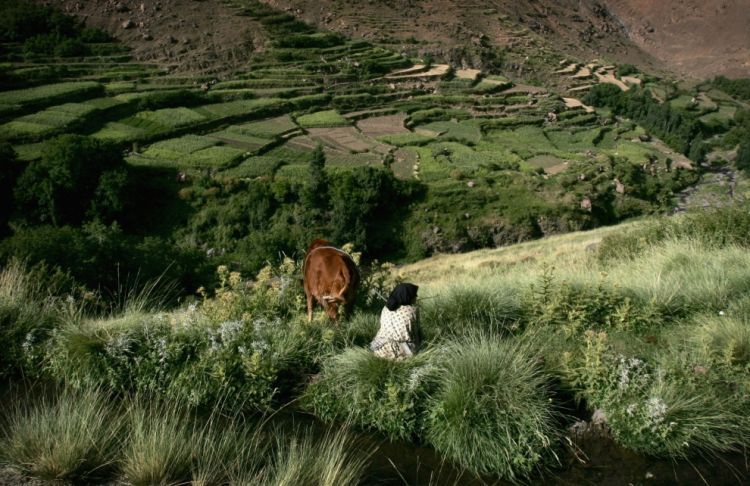 How the Berbers and the Bushmen live. Small photo essay about the extreme parts of Africa - 03