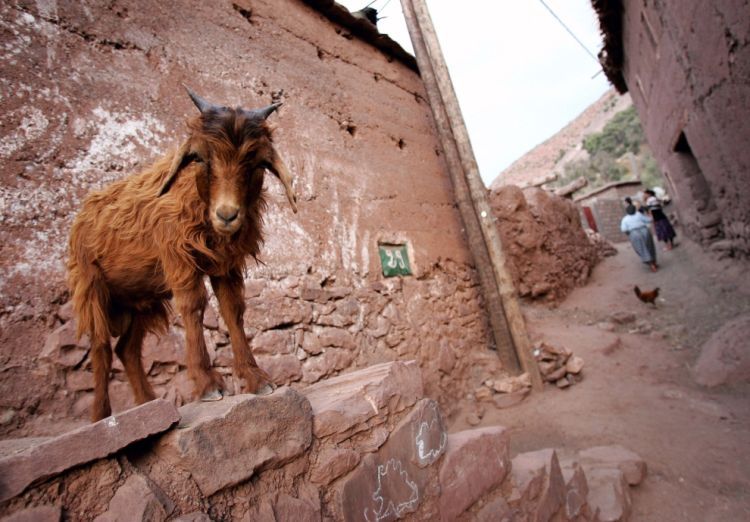 How the Berbers and the Bushmen live. Small photo essay about the extreme parts of Africa - 24