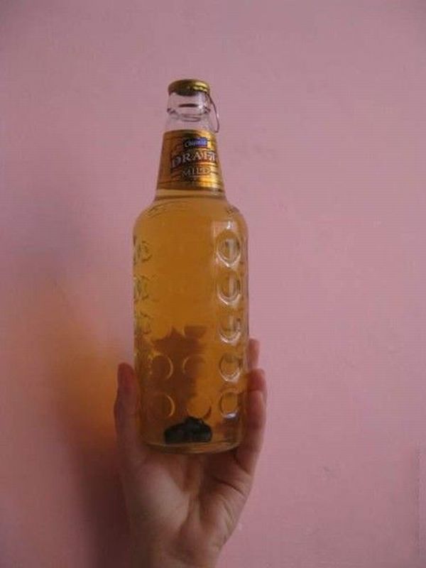 WTF in a beer bottle - 04