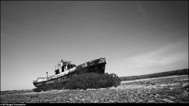 Another Dead Sea (17 pics)
