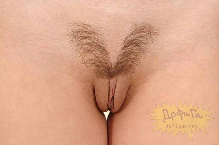 Original intimate pubic hairstyles - 02