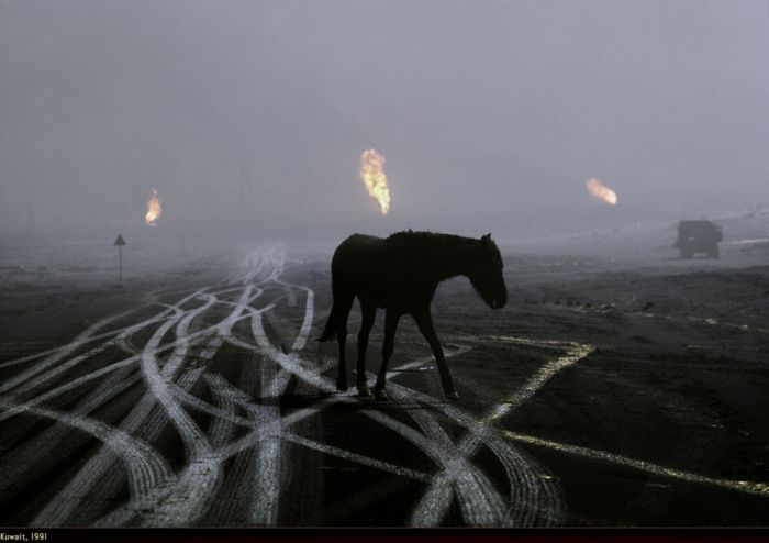 War through the camera of Steve McCurry - 26