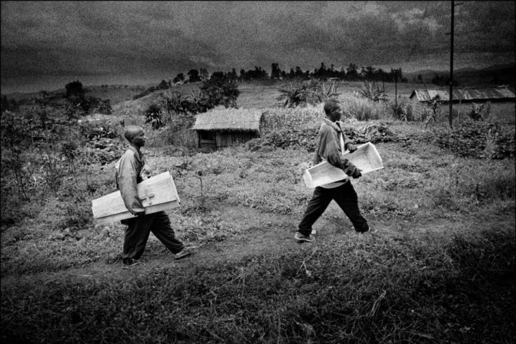 The brutal war in the Congo - 22
