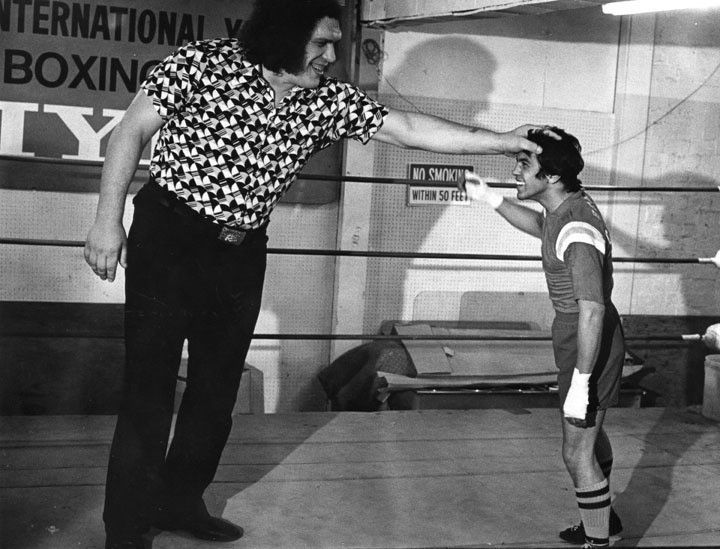 André the Giant (29 pics)