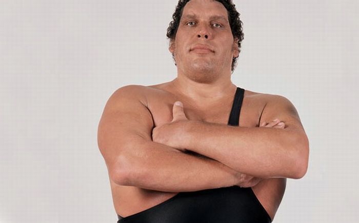 André the Giant - 29