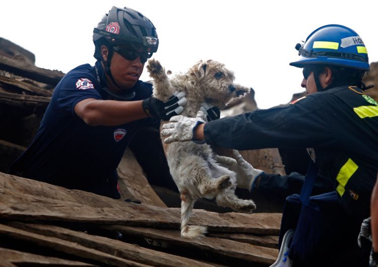 Consequences of the earthquake in Chile. Three days later - 07